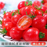 新鮮圣女果小西紅柿小番茄新鮮蔬菜生鮮減肥減脂早餐沙拉現(xiàn)摘現(xiàn)發(fā) 嘗鮮款 1斤 凈重 曬單實拍圖