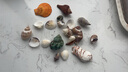 天然貝殼海螺真品幼兒園兒童貝殼diy 材料手工制作材魚(yú)缸造景裝飾 貝殼海螺大小混合裝約40-50個(gè) 曬單實(shí)拍圖