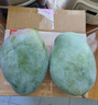 京鮮生 攀枝花好大一顆凱特芒 2斤巨無霸 2粒4斤裝  生鮮水果 源頭直發(fā) 曬單實(shí)拍圖