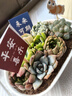 綠蔭巷子多肉植物帶盆組合盆栽新手好養活仙人掌辦公室內桌禮品小綠植 橢圓盆【冰燈露+7隨機肉】+5?？?曬單實(shí)拍圖