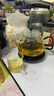 綠昌明茶壺泡茶玻璃壺保溫加熱墊茶具恒溫泡茶套裝溫茶套裝帶2杯 曬單實(shí)拍圖