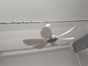 艾美特（AIRMATE）小吊扇學(xué)生宿舍床上電風(fēng)扇大風(fēng)力小風(fēng)扇蚊帳扇微風(fēng)吊扇電扇 USB款+1.8米調速線(xiàn)+遙控+適配器 標準款 曬單實(shí)拍圖