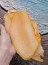 胖東來(lái)品質(zhì)海螺片煲湯材料淡干響螺片海產(chǎn)品干貨鮑螺片螺肉干片 響螺片中號(hào)-500g 曬單實(shí)拍圖