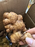 彝小姜云南羅平小黃姜 新鮮蔬菜根莖類(lèi)火鍋食材產(chǎn)地直供 羅平小黃姜 2斤 新鮮帶泥發(fā)貨 曬單實(shí)拍圖