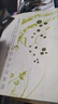 （絕版舊書(shū)） 原來(lái)你還在這里 辛夷塢　著(zhù) 朝華出版社   單冊 曬單實(shí)拍圖
