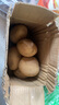 新鮮土豆現(xiàn)挖現(xiàn)發(fā)山東正宗黃心黃肉當(dāng)季蔬菜馬鈴薯洋芋薯?xiàng)l3兩起 山東土豆帶箱2斤 中大果 曬單實(shí)拍圖