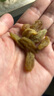 樓蘭蜜語(yǔ)大顆綠香妃葡萄干280g/罐  香妃葡萄干系列 零食 蜜餞果干 葡萄  曬單實(shí)拍圖