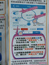 貝心安發(fā)燒神器套餐LM8L17智能自報(bào)警體溫表手環(huán)類兒童實(shí)時(shí)體溫監(jiān)測(cè)體溫貼全天預(yù)防高熱驚厥發(fā)燒報(bào)警器 LM8快速高級(jí)版槍色(不含腰帶-腰帶按腰圍購(gòu)買） 曬單實(shí)拍圖