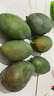 京鮮生 攀枝花凱特芒果 凈重8.5斤 帶箱9斤 單果400g+ 生鮮水果源頭直發(fā) 曬單實拍圖