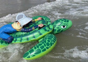 INTEX 58535海豚充氣坐騎 游泳圈成人兒童充氣玩具浮排浮床加厚水上 曬單實拍圖
