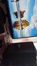 華碩（ASUS）圖形工作站 i5/i7/P2000/A2000/A4000設計師視頻剪輯3D建模渲染CAD繪圖臺式組裝電腦主機DIY整機 配置三13代i5/P1000 4G/16G/1TB 主機+27 曬單實(shí)拍圖