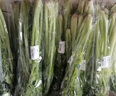 有機(jī)匯有機(jī)西芹 榨汁西芹有機(jī)芹菜汁出汁率高 有機(jī)種植無(wú)農(nóng)殘 新鮮采摘 2500g 曬單實(shí)拍圖