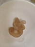 世喜安撫奶嘴3-6個(gè)月以上防脹氣 新生嬰兒夜用扁頭哄睡 全硅膠2只裝 曬單實(shí)拍圖