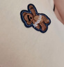 尚都比拉美式復(fù)古風(fēng)小熊刺繡POLO連衣裙小個子夏季寬松顯瘦裙子 杏色 M  曬單實拍圖
