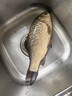 鉤尖江湖鉤尖江湖干貨打敗小魚(yú)餌料新品鯉魚(yú)鯽魚(yú)餌料野釣大物黑坑專用搓餌 干貨-打敗小魚(yú) 曬單實(shí)拍圖