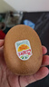 佳沛（zespri）新西蘭 陽(yáng)光金奇異果12粒禮盒特大果單果約122-146g 獼猴桃 水果 曬單實(shí)拍圖