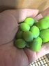 沃江源【加冰順豐發(fā)貨】湖北洪湖新鮮嫩蓮子生吃水果蓮子鮮甜蓮米現(xiàn)采摘 3斤裝 曬單實(shí)拍圖
