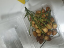 廣東黃皮果300g 曬單實拍圖