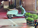 龍嘉維多利亞150Si+復(fù)古踏板摩托車水冷150cc平踏全新整車可上牌 薄荷曼波綠【維多利亞150SI+】 曬單實拍圖