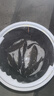 化氏昆蟲(chóng)元素新品餌料魚(yú)餌大味型高穿透強聚魚(yú)久留魚(yú)釣魚(yú)餌大紅鯽 昆蟲(chóng)+赤煉+鋼彈2號【低溫推薦】 曬單實(shí)拍圖