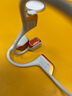 韶音（SHOKZ）【國(guó)家補(bǔ)貼】OpenRun Pro 2 S820開(kāi)放式藍(lán)牙耳機(jī)骨傳導(dǎo)耳機(jī)運(yùn)動(dòng)跑步騎行無(wú)線 基普喬格聯(lián)名款 曬單實(shí)拍圖