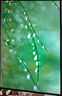 小米Redmi 23.8英寸顯示器 100Hz IPS技術(shù) 三微邊設(shè)計 低藍(lán)光 電腦辦公顯示器顯示屏 A24節(jié)能版 曬單實拍圖