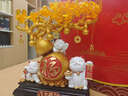 慧選禮（HUI XUAN LI）招財(cái)貓發(fā)財(cái)樹擺件辦公室客廳前臺(tái)裝飾送朋友店鋪公司喬遷開業(yè)禮物 曬單實(shí)拍圖