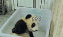 得力（deli）游標卡尺全金屬高精數(shù)顯卡尺高清大屏電子卡尺符合國標 曬單實拍圖