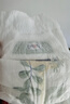 露安適（Lelch）日夜純凈pure箱裝學(xué)走褲XL碼72片(12-17kg)日用嬰兒尿不濕拉拉褲 曬單實(shí)拍圖