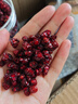 特級五味子 中藥材泡水喝 野生長(cháng)白山泡茶 當季新果 顆顆飽滿(mǎn) 4瓶裝特級五味子600g【干凈無(wú)雜】 曬單實(shí)拍圖