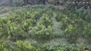 科邁克德國(guó)電動(dòng)割草機(jī)充電家用手持打草機(jī)鋰電草坪機(jī)割灌機(jī)農(nóng)用除草機(jī) 9寸無(wú)刷高功率工業(yè)高續(xù)航款 曬單實(shí)拍圖