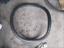 26寸山地車(chē)實(shí)心胎26x1.95/2.125實(shí)心輪胎免充氣防爆防刺穿輪胎 26x1.95實(shí)心胎一條 曬單實(shí)拍圖