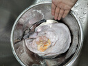 臻鮮蓓 特大號(hào)安康魚(yú)鮮活速凍大丑魚(yú)大嘴魚(yú)鮟鱇魚(yú)新鮮海鮮生鮮水產(chǎn)一箱 3斤安康魚(yú) 曬單實(shí)拍圖
