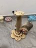 喆湘貓抓板耐磨不掉屑劍麻貓咪爪柱小貓玩具逗貓棒自嗨解悶貓爬架一體 【實(shí)木款 品質(zhì)】小號四合一貓抓柱 曬單實(shí)拍圖