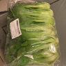 【高原夏菜】云南高原油菜500g 曬單實拍圖