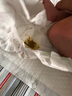 babycare金山茶花紙尿褲NB68片(<5kg)新生兒嬰兒尿不濕【新老混發(fā)】 曬單實(shí)拍圖