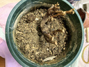 素蜜正宗多色薔薇花苗盆栽樹苗爬藤月季特大花庭院四季開花玫瑰好養(yǎng)活 蘭色妖姬 8年苗當(dāng)年開花 不含盆 曬單實(shí)拍圖