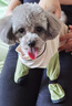 嬉皮狗（hipidog）狗狗褲子全包連腳狗狗防塵褲外出防臟防水中小型犬泰迪罩衣狗衣服 蒂安綠 S （建議體重3-6斤） 曬單實(shí)拍圖