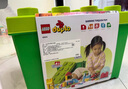 樂高(LEGO)積木拼裝得寶10914豪華繽紛桶+10460綠色底板雙組套 曬單實(shí)拍圖