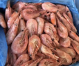 朵芙【頭籽北極蝦】4斤北極甜蝦 熟凍冰蝦元寶蝦腹籽甜蝦生鮮蝦類禮盒 頭籽禮盒 3斤(凈重)  80/100大規(guī)格 曬單實拍圖