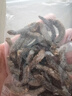 胖東來品質(zhì)海參大連野生海參干貨一斤40頭30頭大號(hào)淡干遼參即食 深海野生海參/純淡干海參 3-5厘米/個(gè)頭大小均勻 40條 曬單實(shí)拍圖