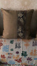 駱易家（LORiCA）中式抱枕客廳沙發(fā)不含芯靠枕套床頭靠墊輕奢高級感大靠背墊可拆洗 國色芳華-麻色 含枕芯 45*45cm(枕套+枕芯) 曬單實(shí)拍圖