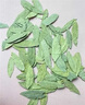 南同九坊 南京同仁堂 番瀉葉片80g/罐片大完整搭番茄葉獨(dú)立顆粒茶包茶葉瘦 曬單實(shí)拍圖