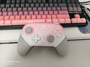 蓋世小雞（GAMESIR）超新星無線游戲手柄帶底座 適用switch2手機(jī)PC安卓Steam電腦NS2pro電視體感藍(lán)牙有線粉色雙人成行 曬單實拍圖