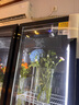 卡帝仕 花店商用鮮花保鮮柜大容量風(fēng)冷鮮花保鮮冰箱鮮花冰柜鮮花冷藏保鮮柜鮮花冷柜展示柜鮮花柜保鮮柜 高端款加大三門【無需排水三光切換】 曬單實(shí)拍圖