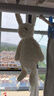 Jellycat害羞乳白色邦尼兔動(dòng)物毛絨玩偶安撫玩偶娃娃生日七夕情人節(jié)禮物 乳白色 Medium 曬單實(shí)拍圖