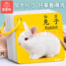 星星舟嬰兒早教卡片兒童玩具1-3歲看圖識字動(dòng)物認知卡1歲寶寶識物大尺寸 【全套7盒小卡】 曬單實(shí)拍圖