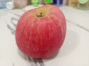 正宗煙臺(tái)蘋果棲霞紅富士脆甜新鮮水果整箱生鮮蘋果水果 凈重4.5斤80mm 曬單實(shí)拍圖