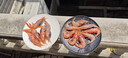 牡丹蝦刺身 鮮活捕撈速凍 原裝進(jìn)口 即食天然甜蝦料理高端食材 加拿大 1kg(凈重)  大號 25-33只 曬單實(shí)拍圖