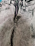 ONLY休閑百搭工裝口袋高腰闊腿牛仔褲女|123432081 C31 復(fù)興淺紫色 XS 155/60A 曬單實(shí)拍圖